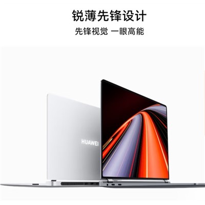 华为/Huawei MateBook GT 14 便携式计算机 32G 